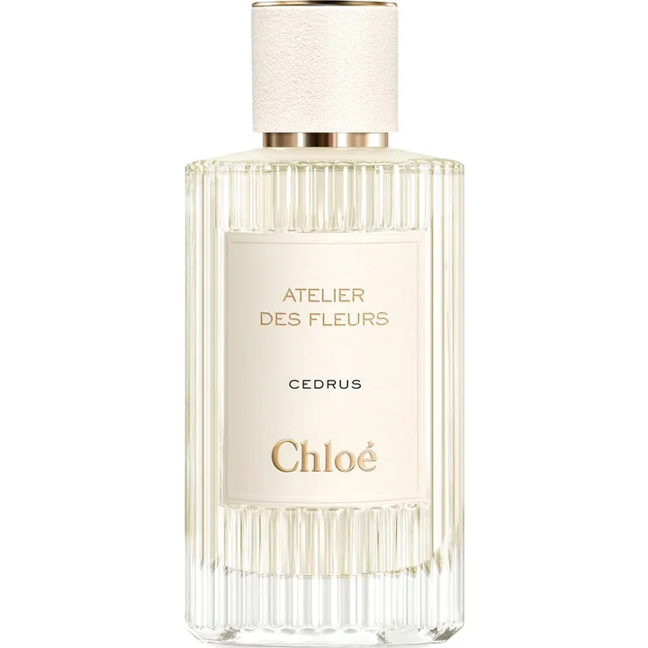 Chloé Cedrus